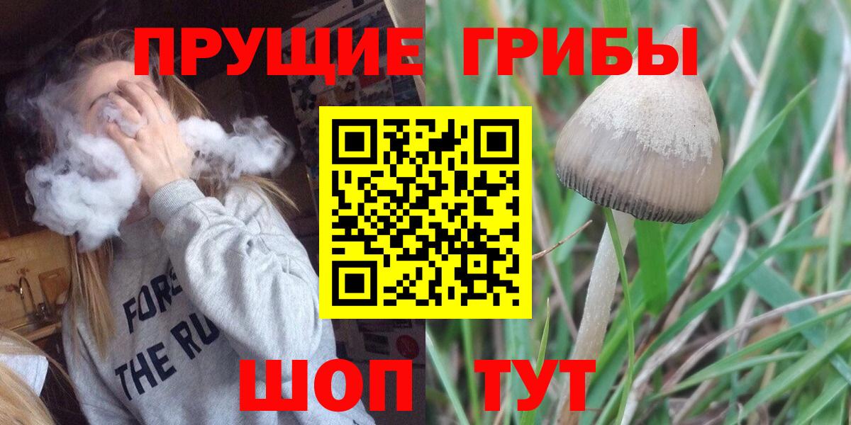 Петрозаводск  Галлюциногенные грибы GOLDEN TEACHER  Вход с VPN 